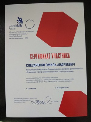 2018_WSR_сертификат участника_Слесаренко Э.jpg
