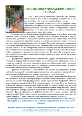 ПБ в лесу_1